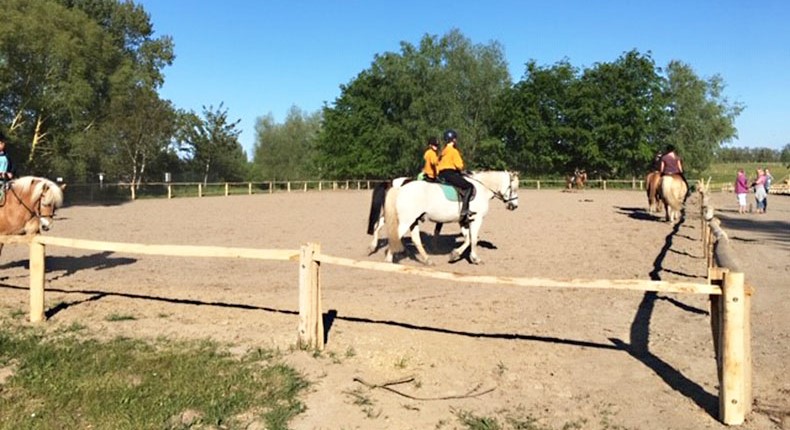 Zaun von ZAUNQ für Reitplatz in Barth