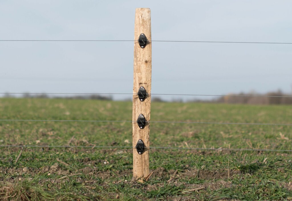 Weidezaunpfahl ZAUNQ