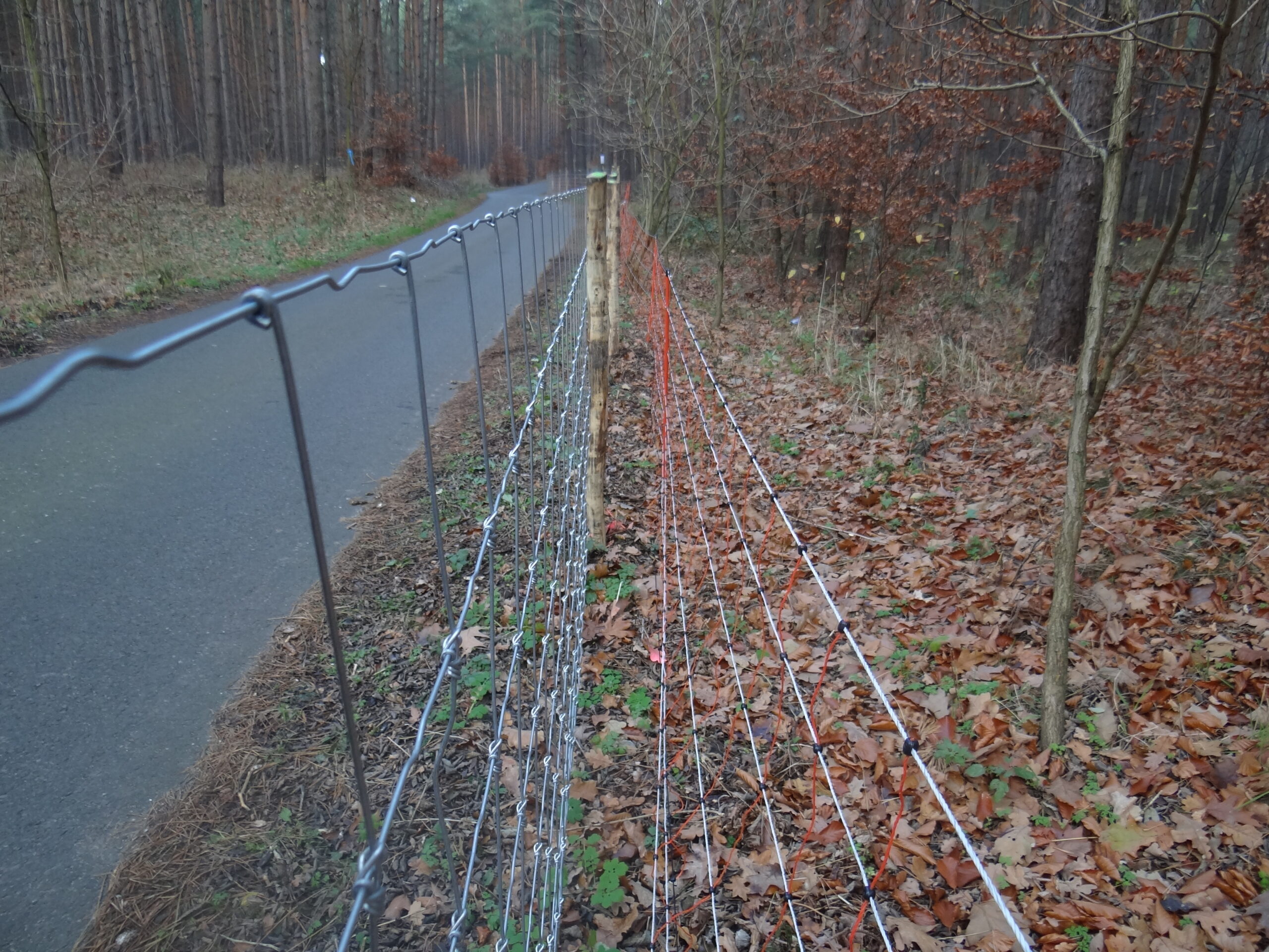 Mobil-Zaun vor Festzaun (Mobilzaun-Reserven für Landkreise)